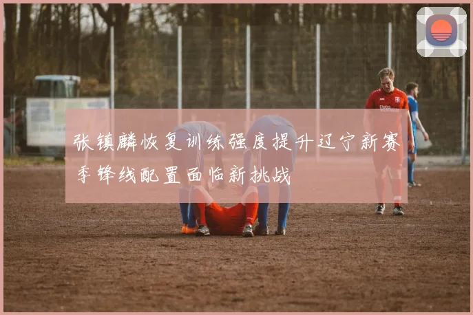 张镇麟恢复训练强度提升辽宁新赛季锋线配置面临新挑战