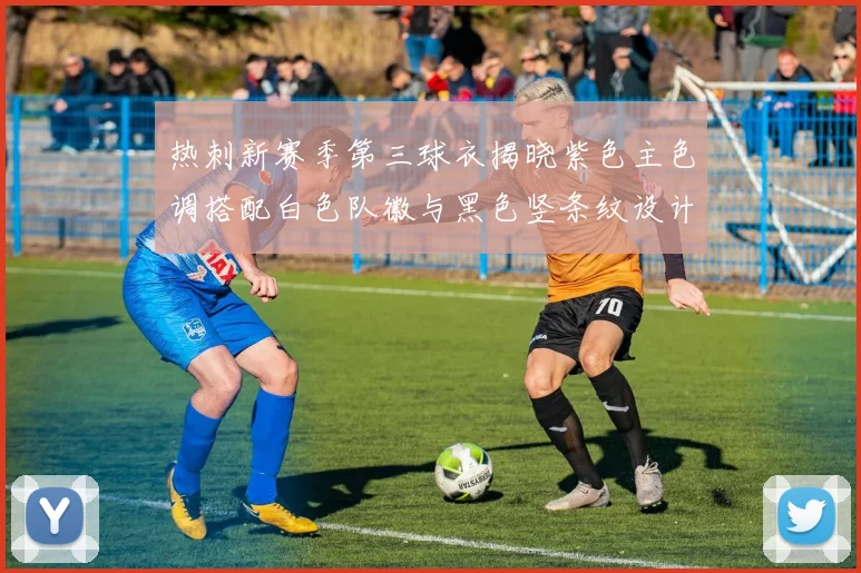 热刺新赛季第三球衣揭晓紫色主色调搭配白色队徽与黑色竖条纹设计